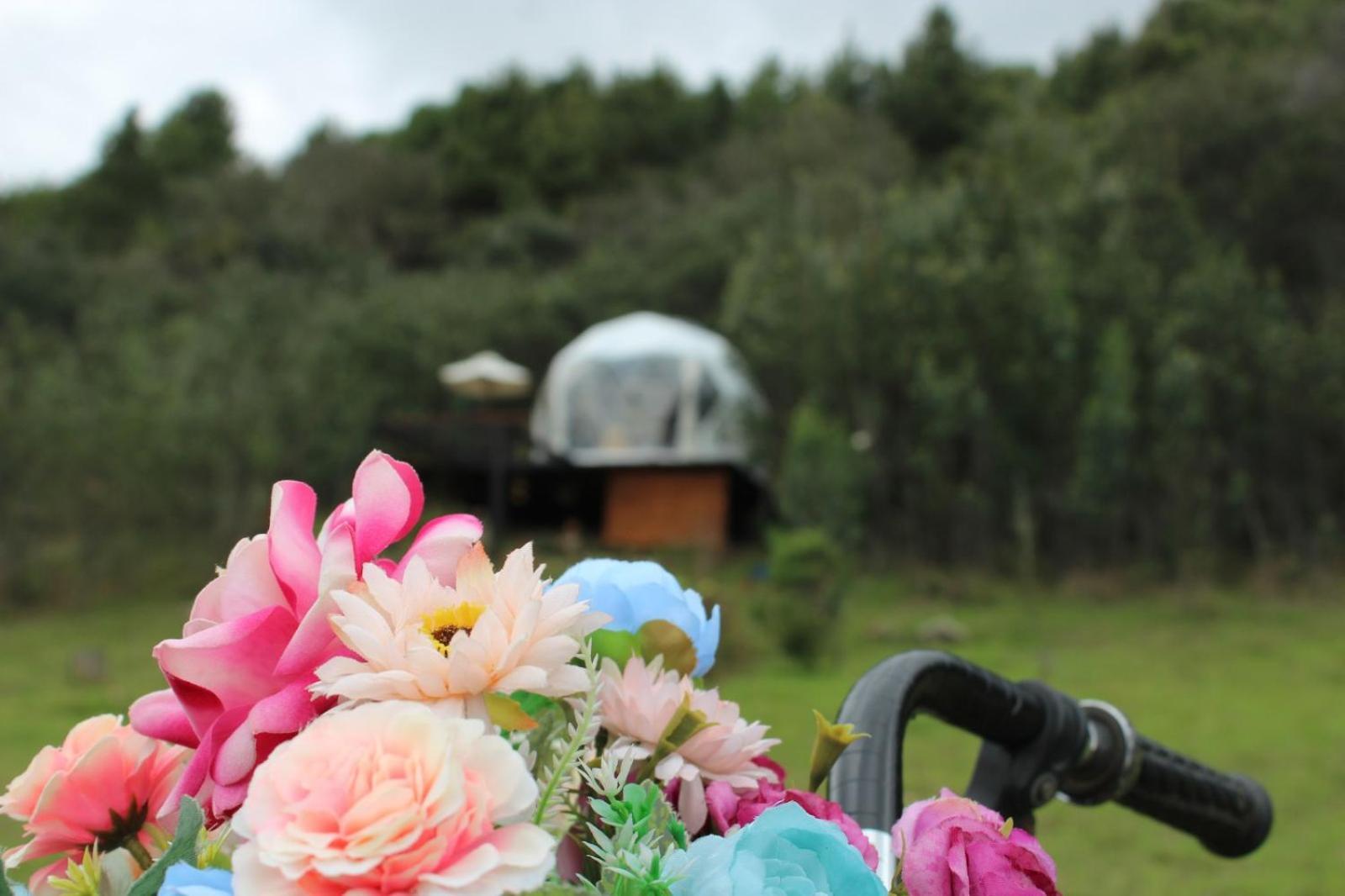 Glamping La Villa Guatavita Luaran gambar